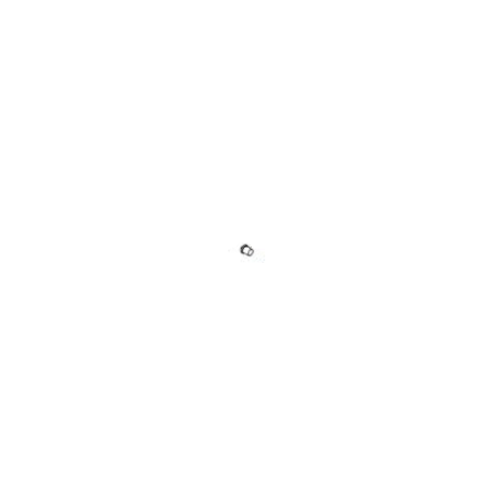 (8NS202413)